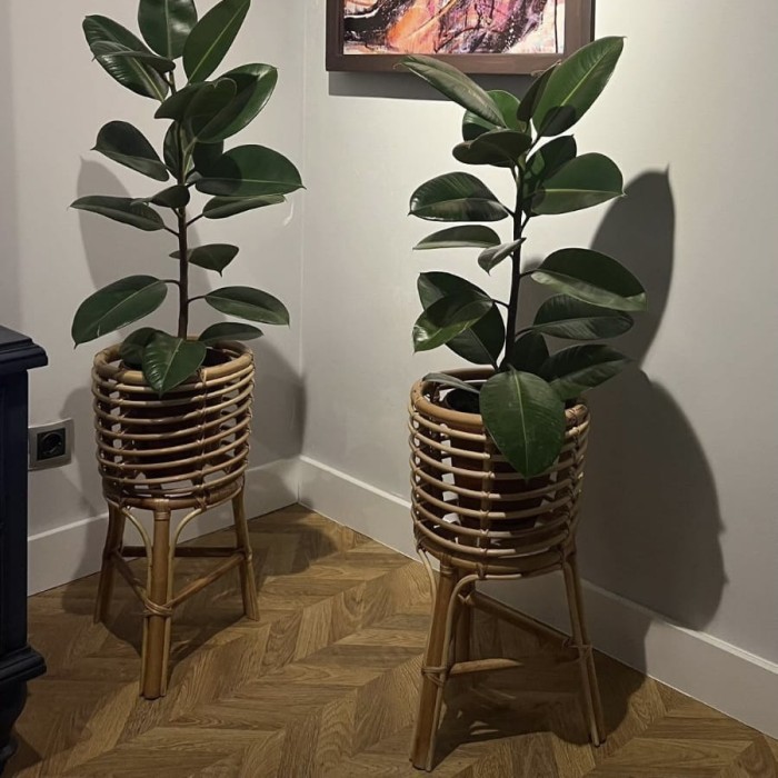 MyLamp Concept | Aydınlatma & Dekorasyon