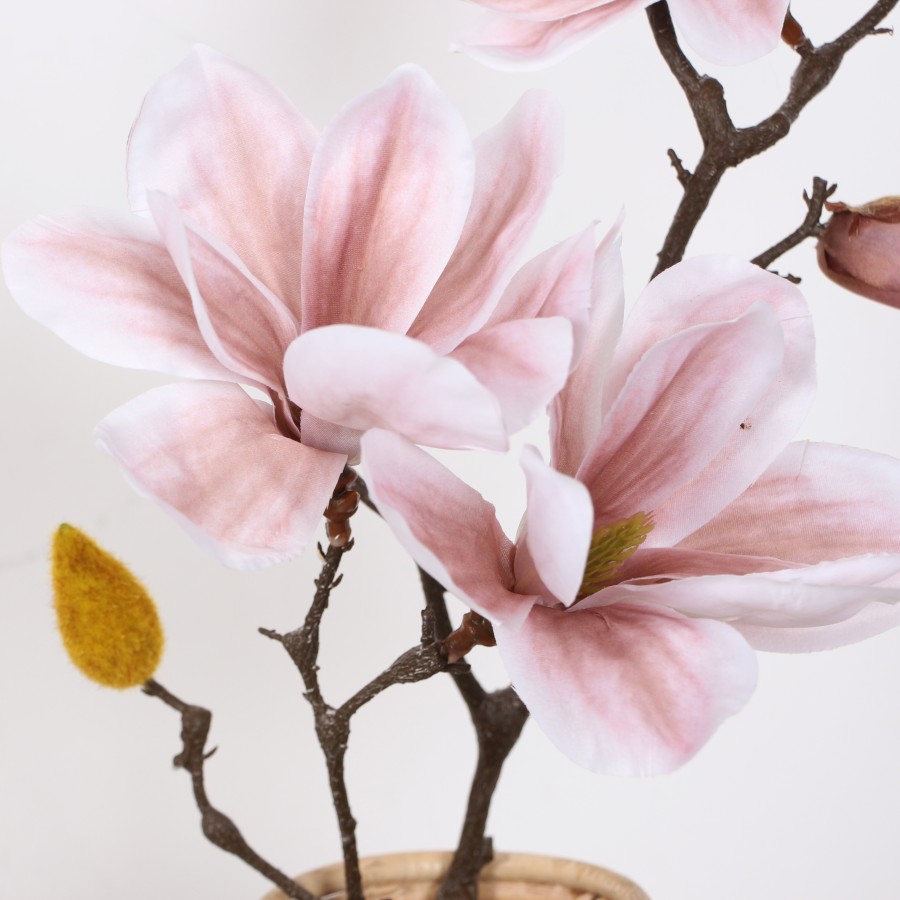 MyLamp Concept | Aydınlatma & Dekorasyon