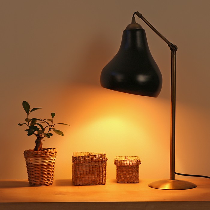 MyLamp Concept | Aydınlatma & Dekorasyon