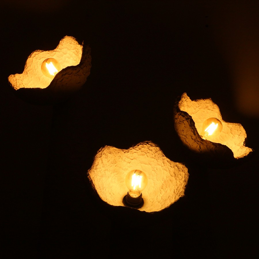 MyLamp Concept | Aydınlatma & Dekorasyon