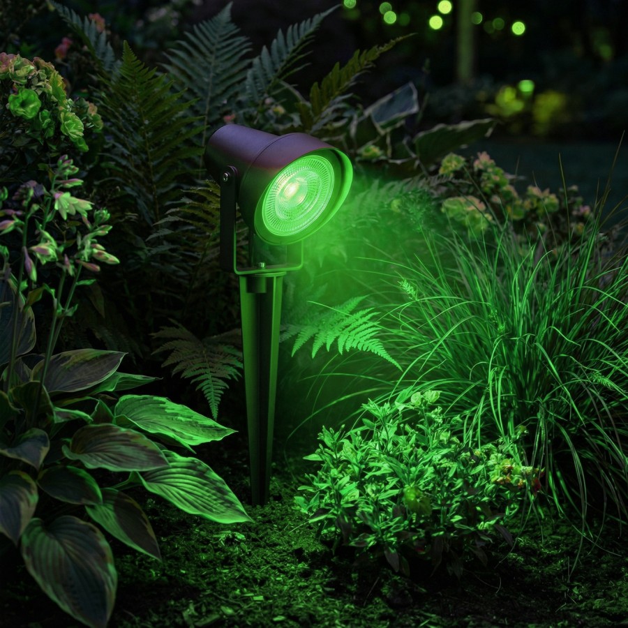 MyLamp Concept | Aydınlatma & Dekorasyon