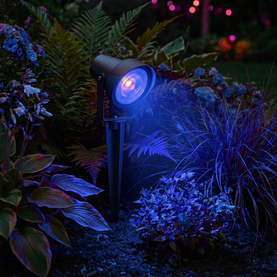 MyLamp Concept | Aydınlatma & Dekorasyon