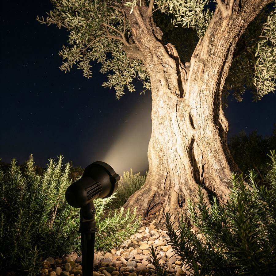 MyLamp Concept | Aydınlatma & Dekorasyon