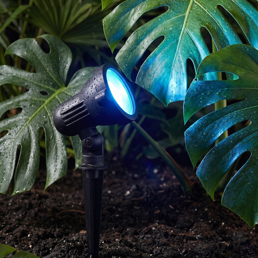 MyLamp Concept | Aydınlatma & Dekorasyon