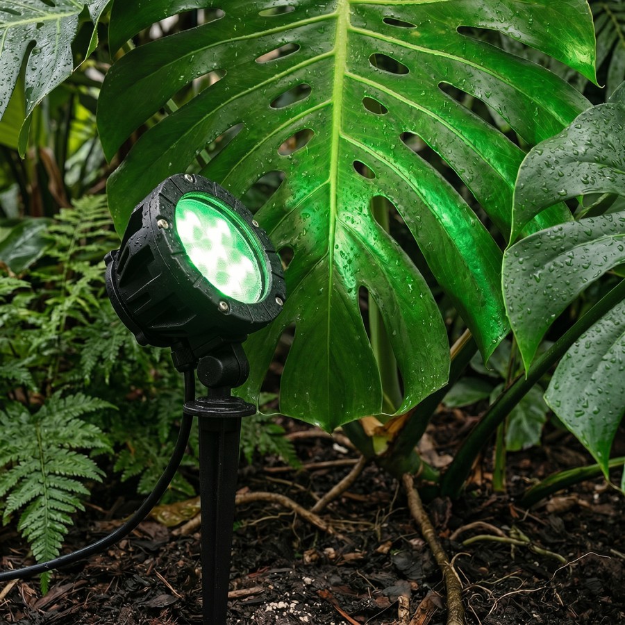 MyLamp Concept | Aydınlatma & Dekorasyon