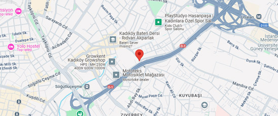İstanbul Şube